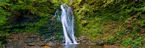 Secret Falls