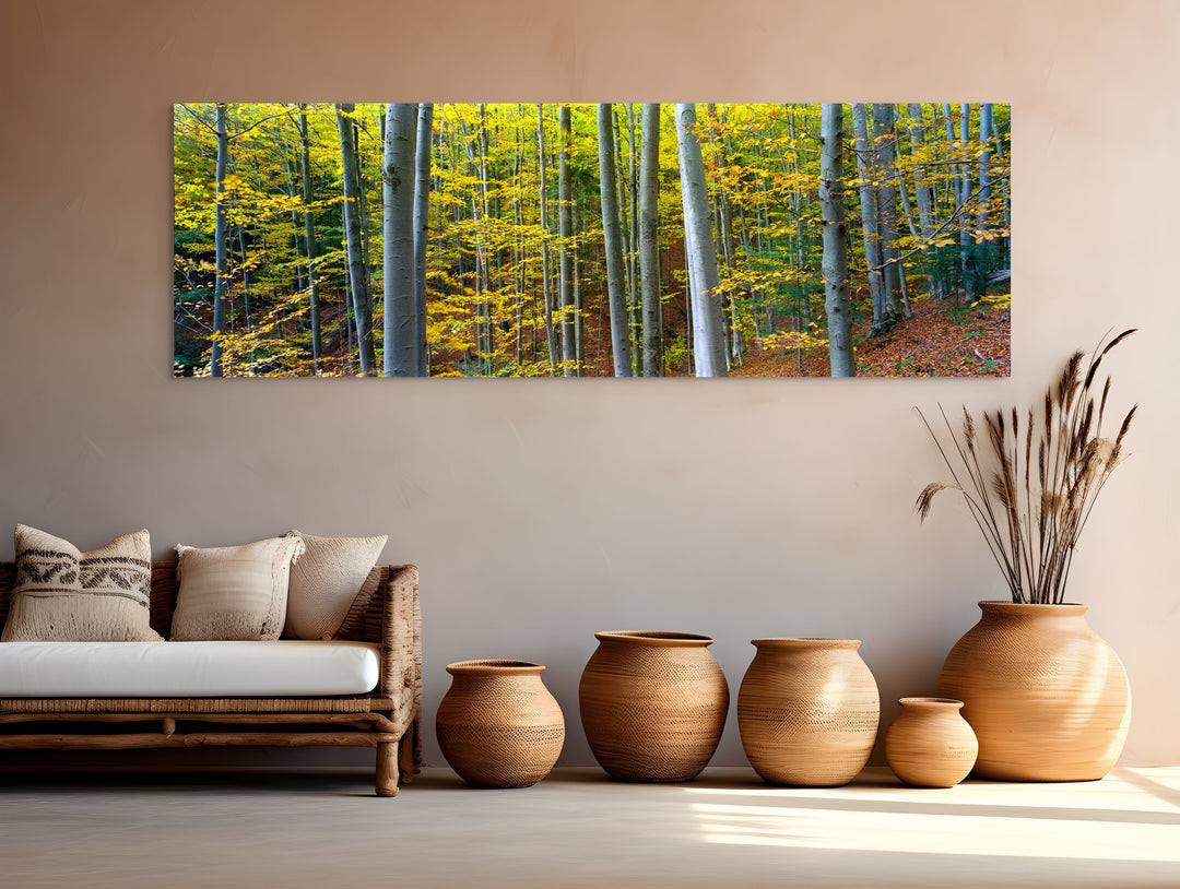 Golden Beech Forest in Autumn